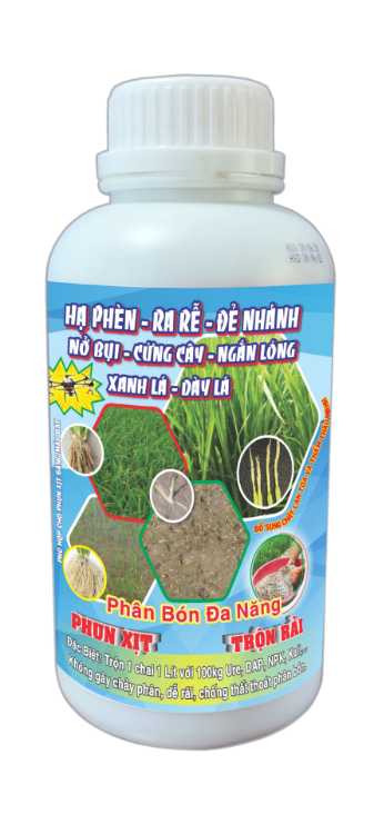 ĐX4 - HẠ PHÈN - RA RỄ - ĐẺ NHÁNH