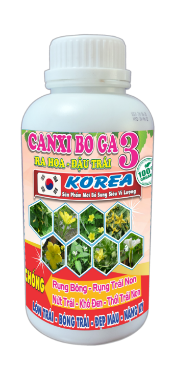 CANXI BO GA 3