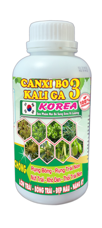 DX3 - CANXI BO KALI GA 3