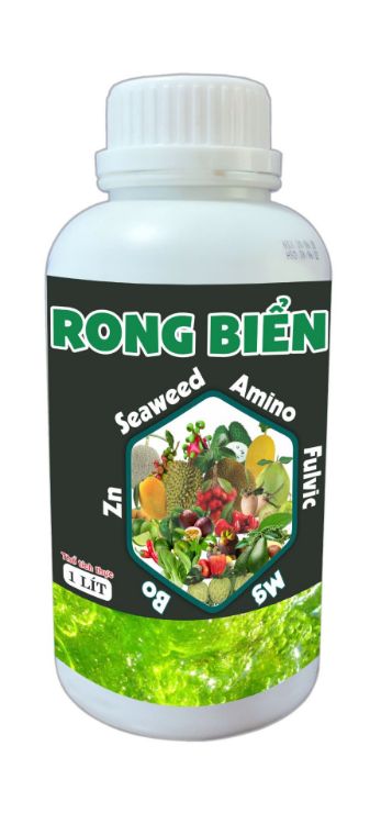 Ảnh của Rong biển