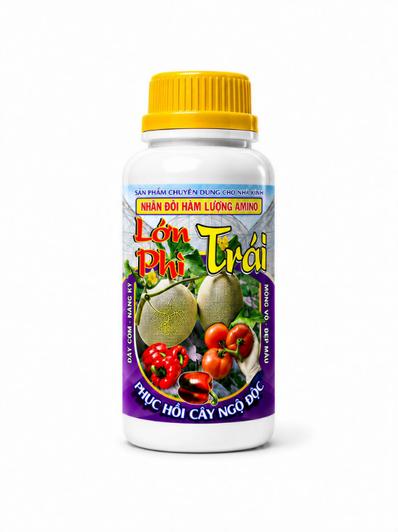 Ảnh của LỚN TRÁI - PHÌ TRÁI - 500ml